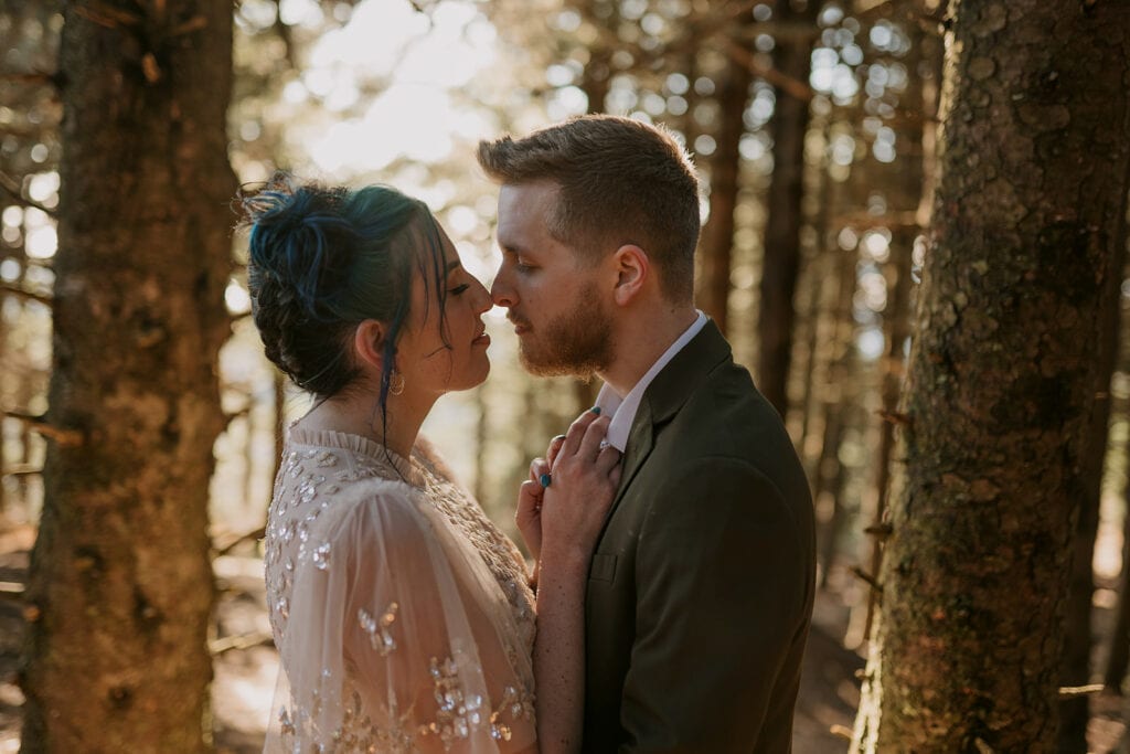 A couple stands in a grove of pines in their wedding clothes at Black Balsam Knob. They are touching noses with their eyes cloes.