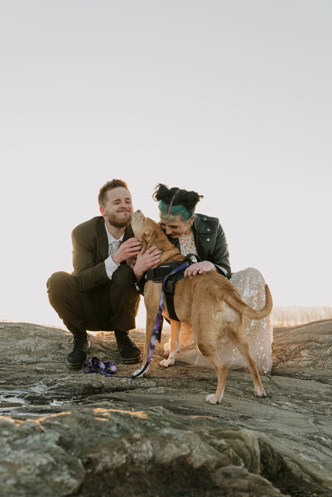 A couple is squatting beside their dog in wedding clothes on a rock slab with a clear white sky behind them. The dog is kissing the man and the woman is smiling near the dogs face.