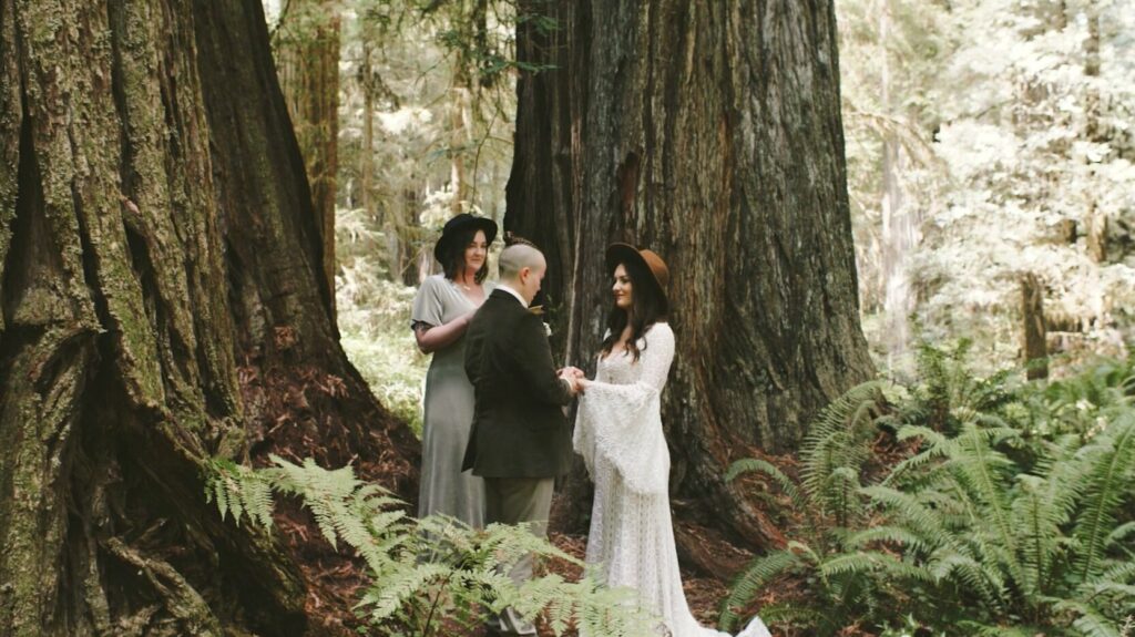 A couple stands during their wedding ceremony between two redwood trees.