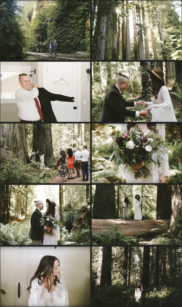 A collage of redwoods wedding images from getting dressed, to a ceremony, first look and floral details.