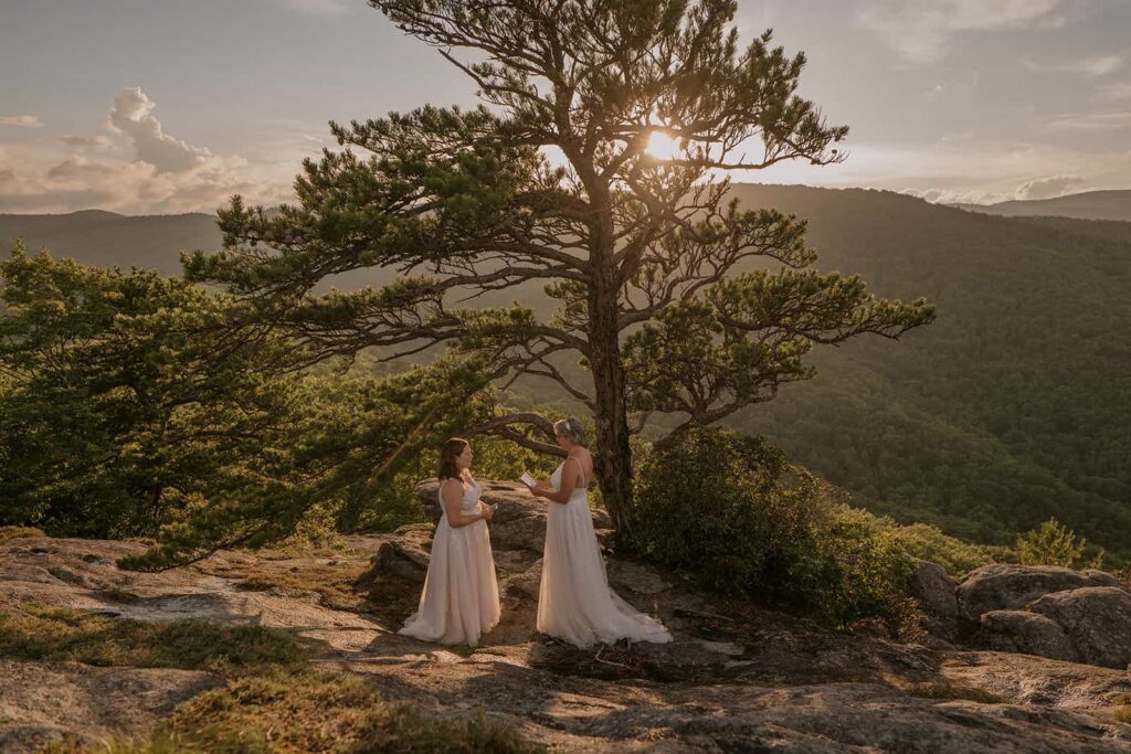 A lesbian couple is standing in front of mountains and a big evergreen pine tree at sunset in their wedding dresses and sharing vows.