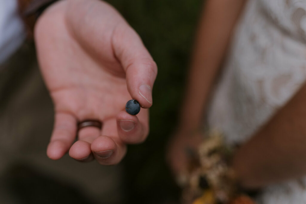 A close up view of a grooms hand holding a wild blueberry beside his new wife during their elopement. You can see his wooden wedding ring and her floral wristlet in the background.