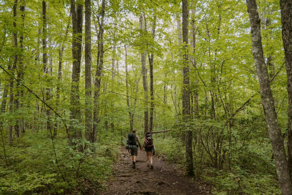A couple is holding hands and hiking through green trees, backpacks full of gear for their camping elopement in North Carolina.