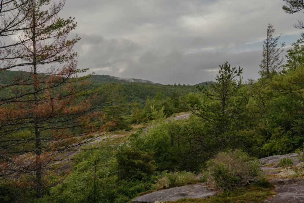 A landscape of the mountains in North Carolina with cloudy skies, green forests, and rocky ledges.