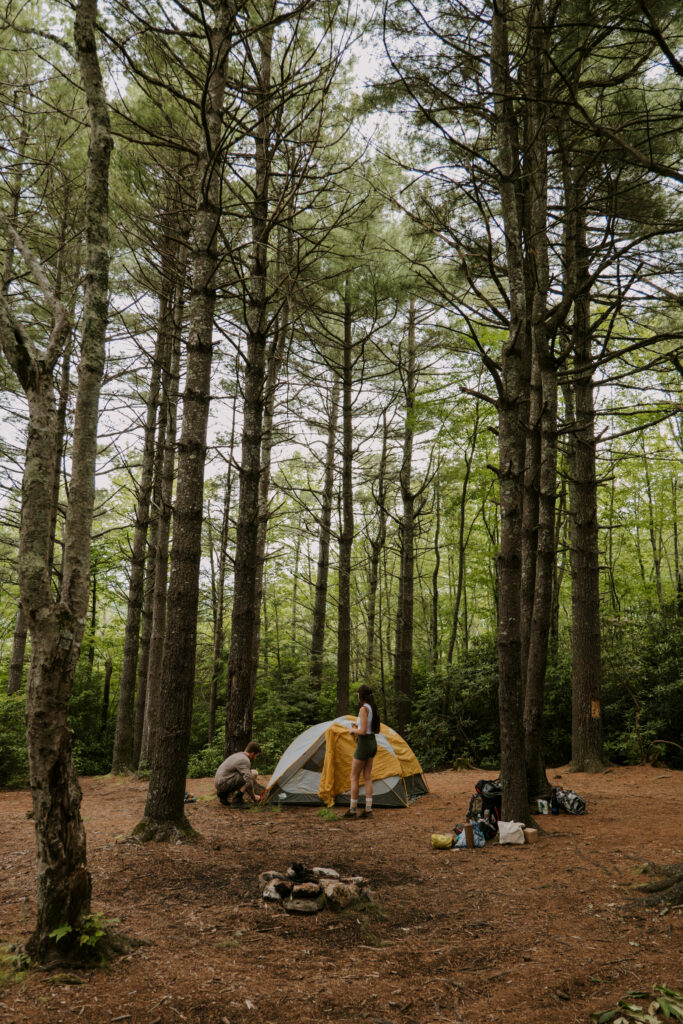 A couple is standing in the woods putting together their tent.