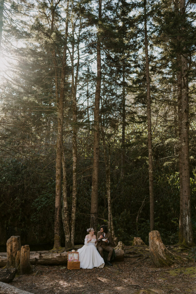 A couple enjoys a picnic in the sun in the forest after their intimate sunrise wedding.