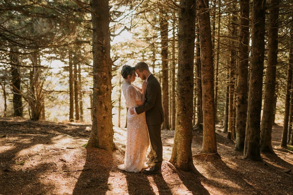 A couple stands in a grove of pines in their wedding clothes at Black Balsam Knob. They are touching foreheads in a hug.