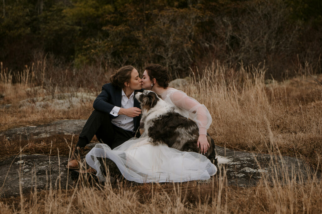 An LGBTQ couple is kissing during their wedding as they sit on a rock surrounded by golden high grasses and snuggled up with their australian shephard dog.